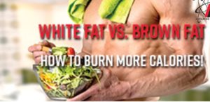 Does Brown Fat Burn Fat and how to burn more calories